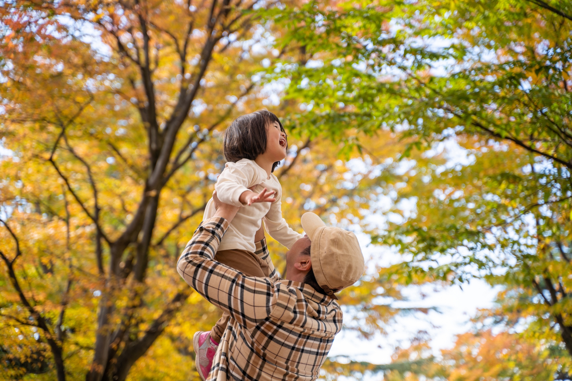 AYABE LIFE 7